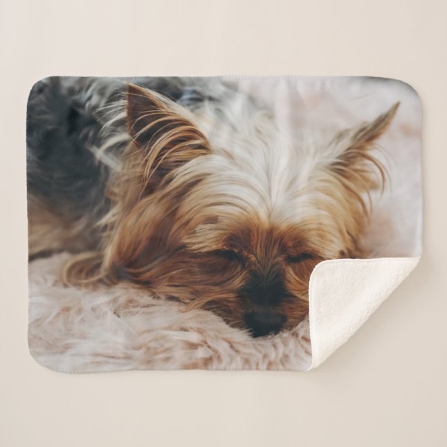 Manta Sherpa Animales de bebé más afectados | Yorkshire Terrier (Anverso (horizontal))