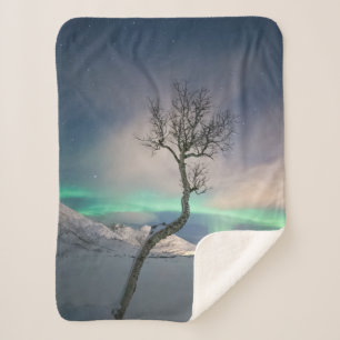 Manta Sherpa Árbol de luces boreales