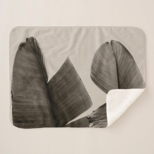 Manta Sherpa Árbol de plátanos sale de Sepia