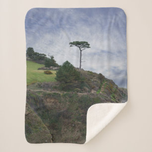Manta Sherpa Árbol único en la roca de Thatcher
