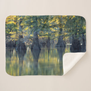 Manta Sherpa Árboles de ciprés calvos   Horseshoe Lake Illinois