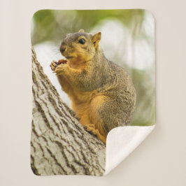 Manta Sherpa Ardilla Adorable