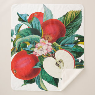 Manta Sherpa Arreglo antiguo de manzanas botánicas, manzana t