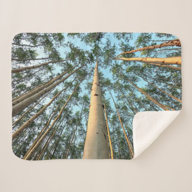 Manta Sherpa Aspen Trunks And Leaves, Yukón (Anverso (horizontal))