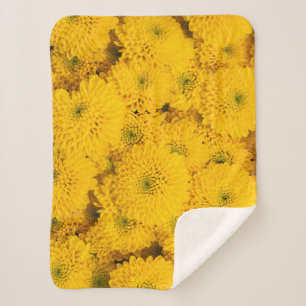 Manta Sherpa Astras de jardín amarillo mamá crisantemo flor