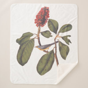 Manta Sherpa Audubon Bonaparte Flycatcher Bird