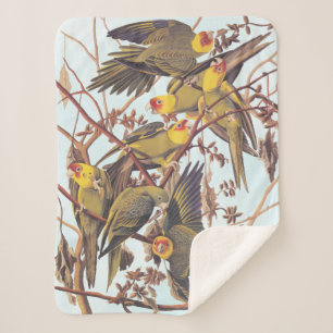 Manta Sherpa Audubon Carolina Parakeet Flock
