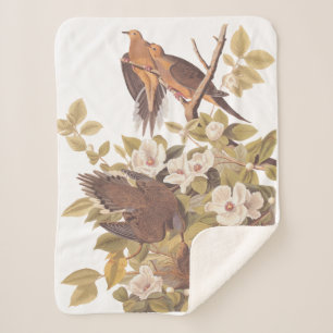 Manta Sherpa Audubon Carolina Turtle Dove