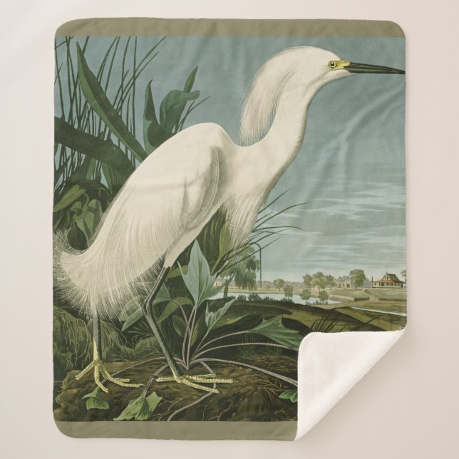 Manta Sherpa Audubon Snowy Heron White Egret Bird Birding (Anverso)