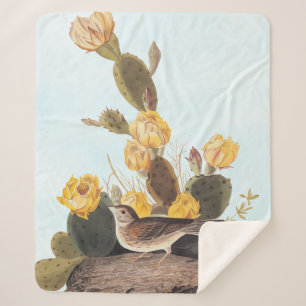 Manta Sherpa Audubon Vesper Sparrow y Pricky Pear Cactus