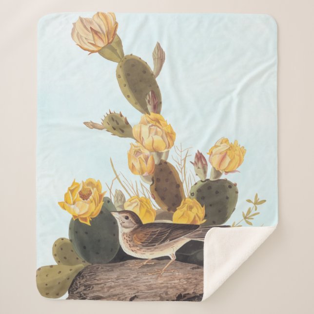 Manta Sherpa Audubon Vesper Sparrow y Pricky Pear Cactus (Anverso)