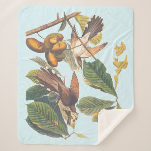 Manta Sherpa Audubon Yellow Bilckoo