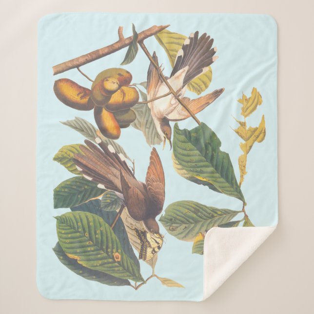 Manta Sherpa Audubon Yellow Bilckoo (Anverso)