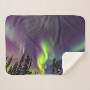 Manta Sherpa Aurora Boreal   Fairbanks, Alaska