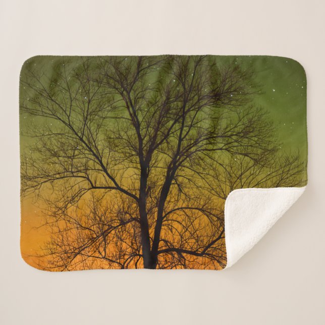 Manta Sherpa Aurora boreal y árbol de algodón (Anverso (horizontal))