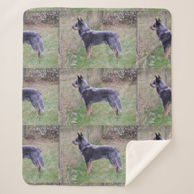 Manta Sherpa Australian_Cattle_Dog_blue completo (Anverso)