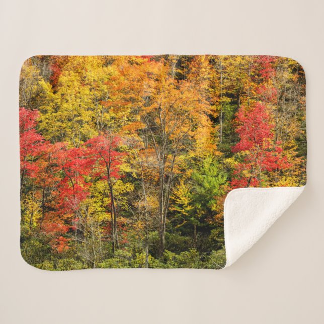 Manta Sherpa Autumn at Sims Pond North Carolina, Blue Ridge (Anverso (horizontal))