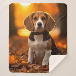 Manta Sherpa Autumn Beagle Pup