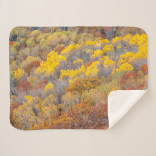 Manta Sherpa Autumn in Michigan