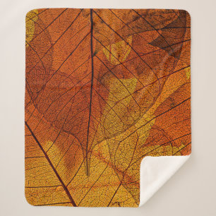 Manta Sherpa autumn leaves in the detailautumn,background,beaut