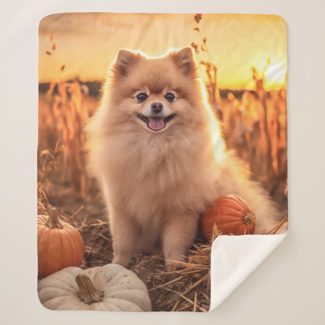 Manta Sherpa Autumn Pomeranian (Anverso)