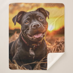 Manta Sherpa Autumn Staffie