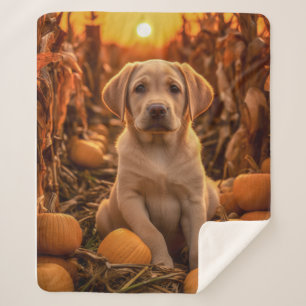 Manta Sherpa Autumn Yellow Lab Pup