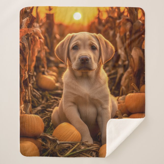 Manta Sherpa Autumn Yellow Lab Pup (Anverso)