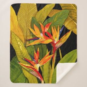 Manta Sherpa Ave del paraíso