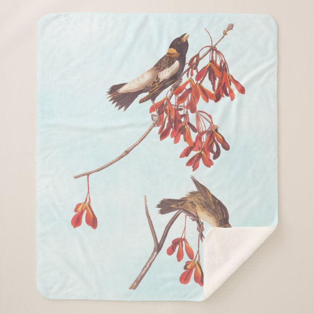 Manta Sherpa Aves de Audubon haciendo Bunting Rice o aves Bobol (Anverso)