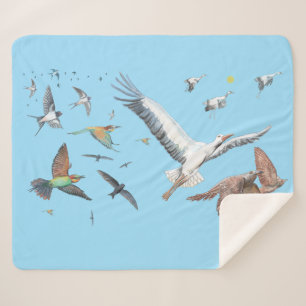 Manta Sherpa Aves migratorias rastreando su Ilustracion de vuel