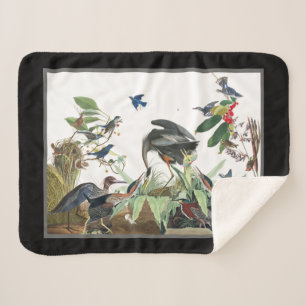 Manta Sherpa Aves Sherpa Gran Azul Audubon