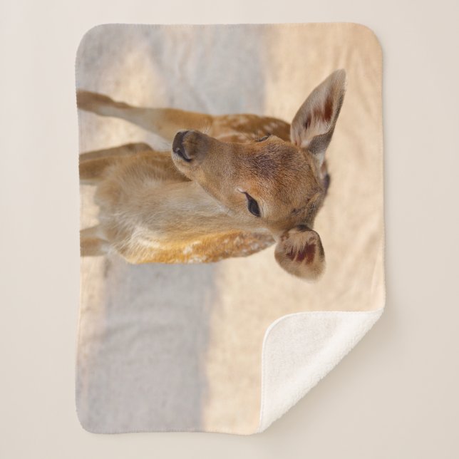 Manta Sherpa Baby Deer (Anverso)