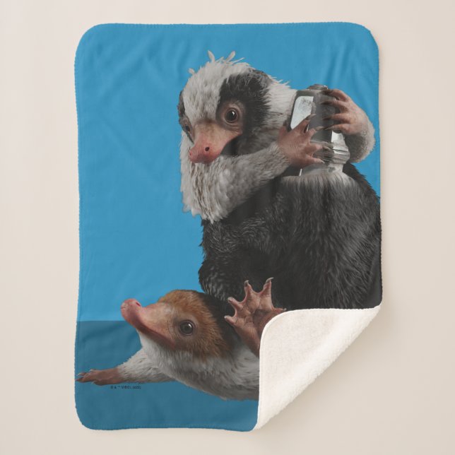 Manta Sherpa Baby Nifflers Find A Prize (Anverso)