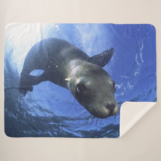 MANTA SHERPA BABY SEAL (Anverso (horizontal))