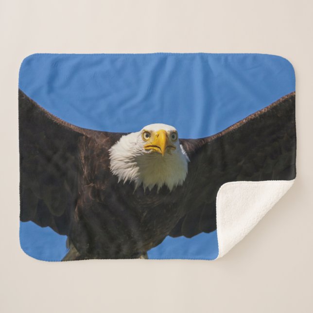 Manta Sherpa Bald Eagle Flyby Up Close (Anverso (horizontal))
