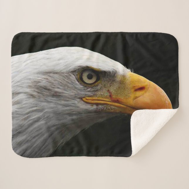 Manta Sherpa Bald Eagle sbcna (Anverso (horizontal))