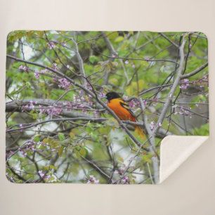 Manta Sherpa Baltimore Oriole