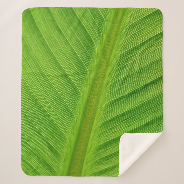 Manta Sherpa Banana leaf leaf banana fibers (Anverso)