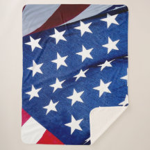 BANDERA AMERICANA