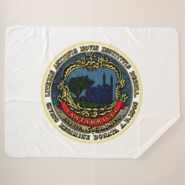Manta Sherpa Bandera de Cambridge (Massachusetts)