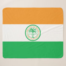 Bandera de Miami (Florida)