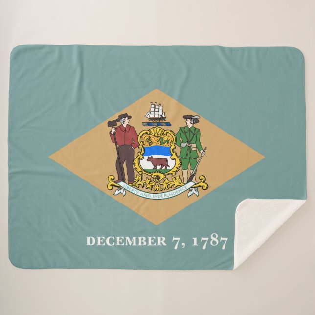 Manta Sherpa Bandera estatal de Delaware (DE, EE.UU.) (Anverso (horizontal))