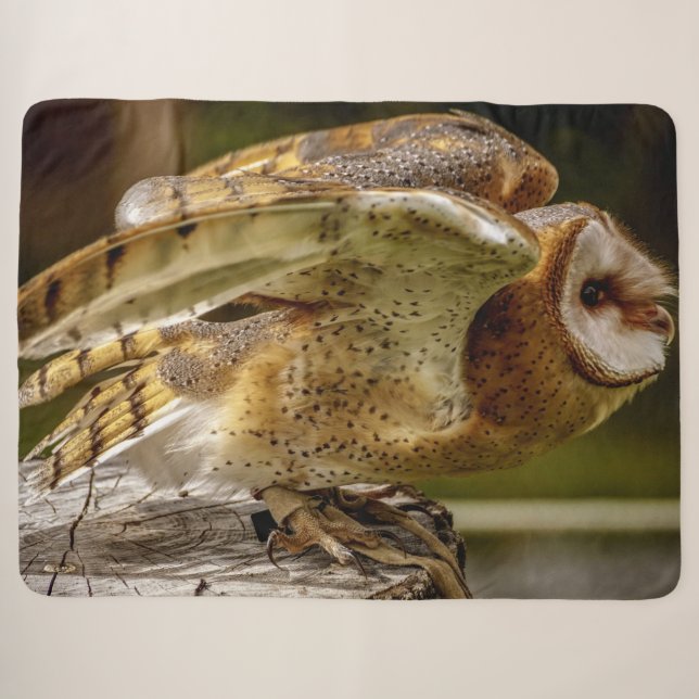 MANTA SHERPA BARN OWL (Anverso (horizontal))