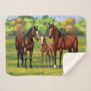 Manta Sherpa Barrio Marrón De Caballos En Pasto De Verano
