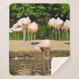 Manta Sherpa Bebida animal africana   Amantes divertidos de Fla