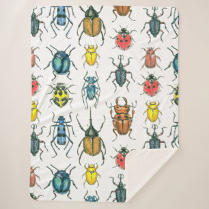 Manta Sherpa Beetles