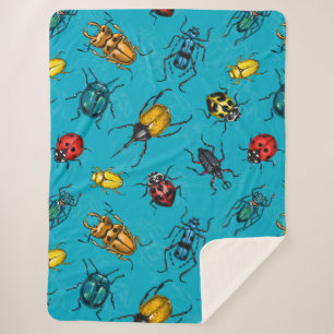 Manta Sherpa Beetles