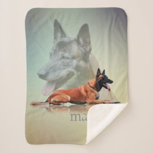 Manta Sherpa Belga Malinois - pastor belga - Maligator