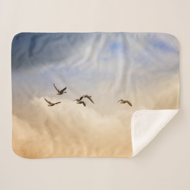 Manta Sherpa Bloqueo de aves en vuelo (Anverso (horizontal))